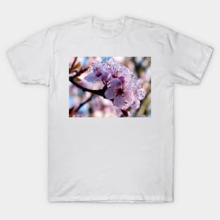 Spring Blossoms T-Shirt